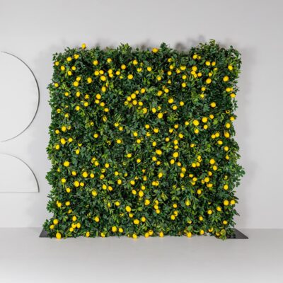 Flower Wall Amalfi