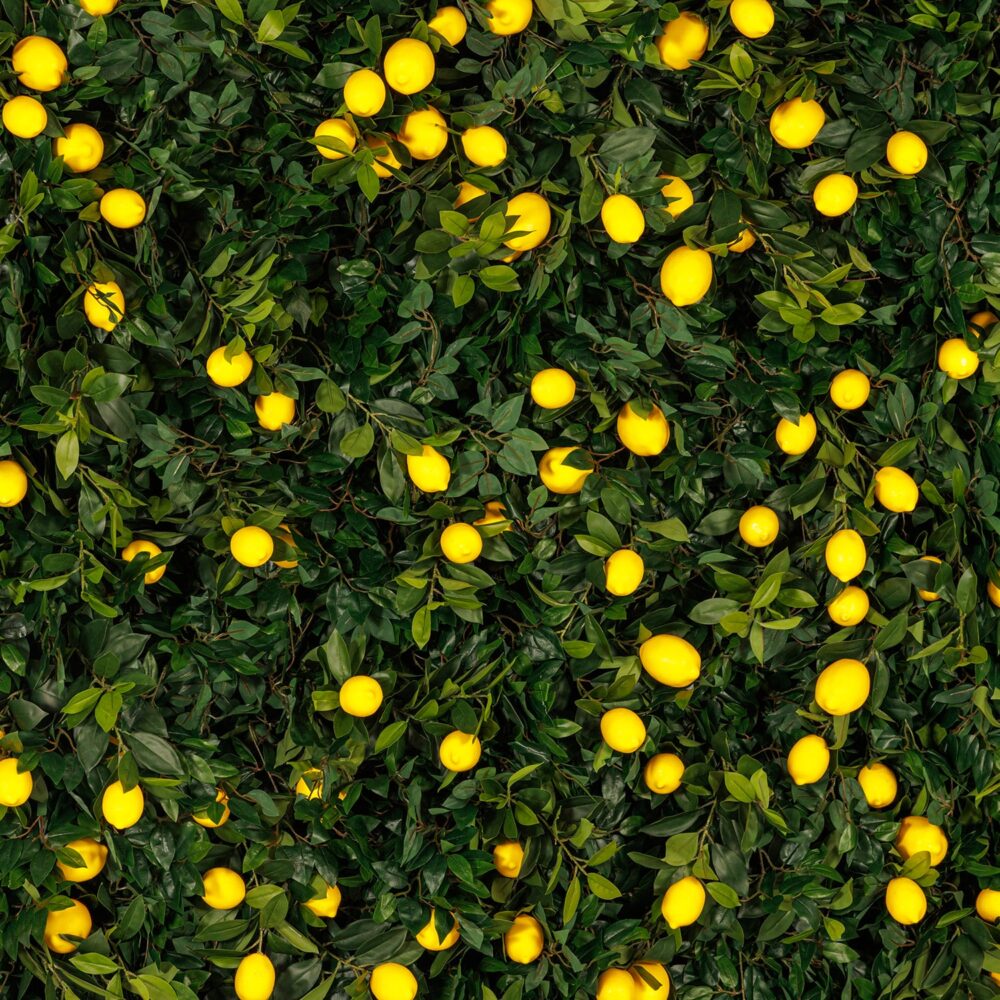 Flower Wall Amalfi - Image 2