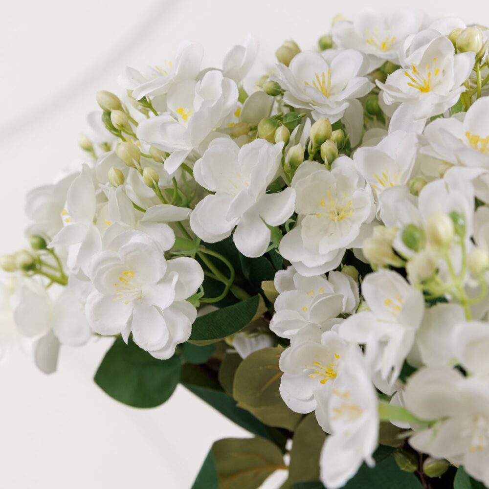 Mock Orange Spray - Image 2
