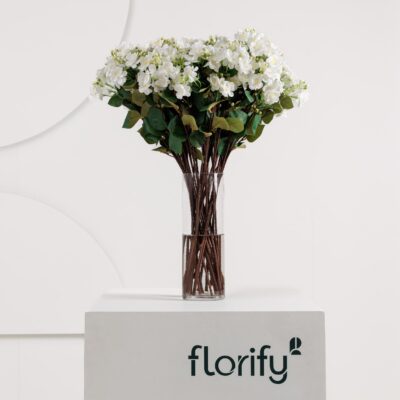 Mock Orange Spray