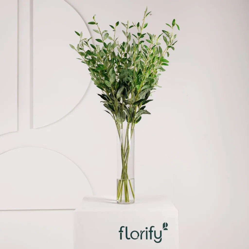 Olive Leaf Stem - Florify