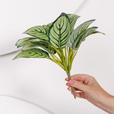 Nerve Plant Cluster
