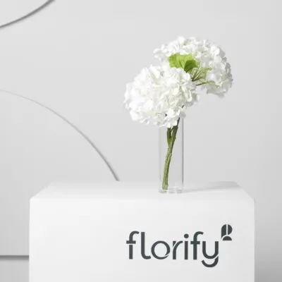 Real Touch Hydrangea IVORY (without leaves)