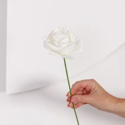 Real Touch Reflexed Rose Stem IVORY (floristry stem)