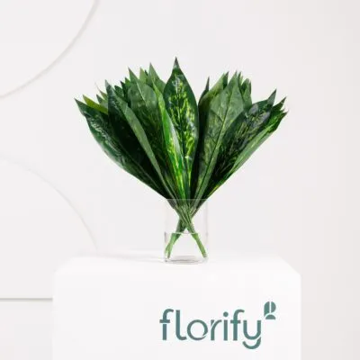 Tropical Leaf Spray
