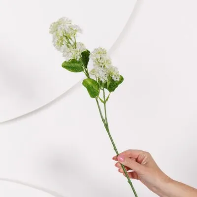 Throatwort Stem - White