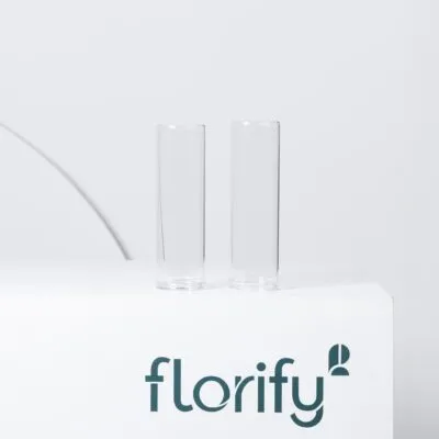 Bud Vase Glass Small