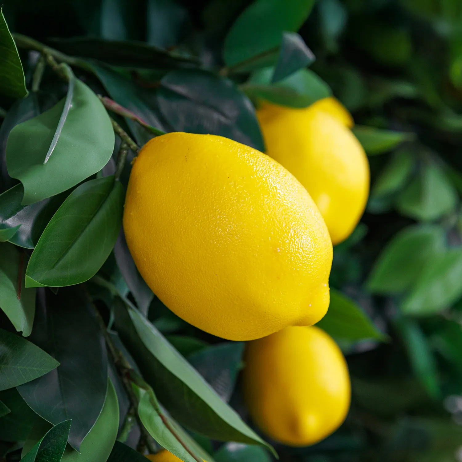 70cm Table Centrepiece-Amalfi Collection Close Up