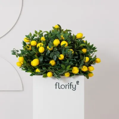 Centrepiece 70cm Amalfi