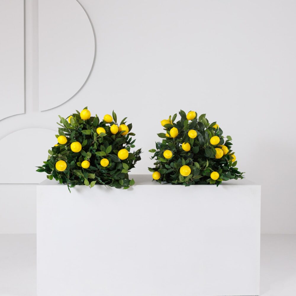 Amalfi Meadow (Set of 2)