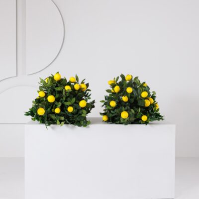 Amalfi Meadow (Set of 2)