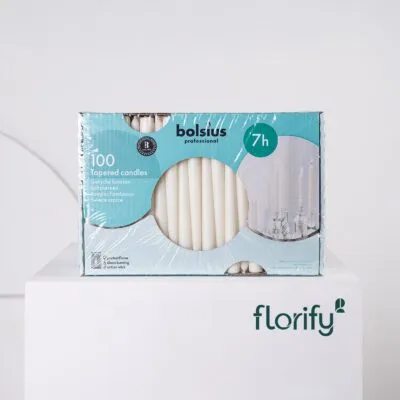 Professional Tapered Candles x100 Ivory