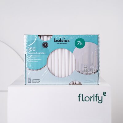 Professional Tapered Candles x10 White