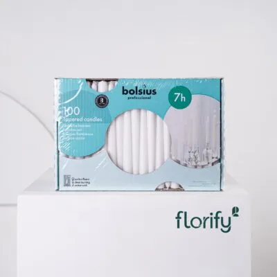 Professional Tapered Candles x100 White