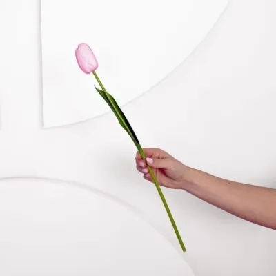 Tulip Stem - Dark Pink