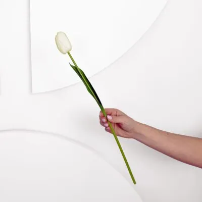 Tulip Stem - White