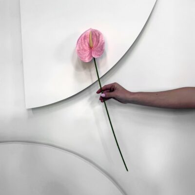Real Touch Anthurium Stem Pink