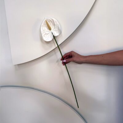 Real Touch Anthurium Stem White