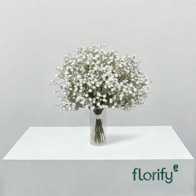 Flower Pack Amie